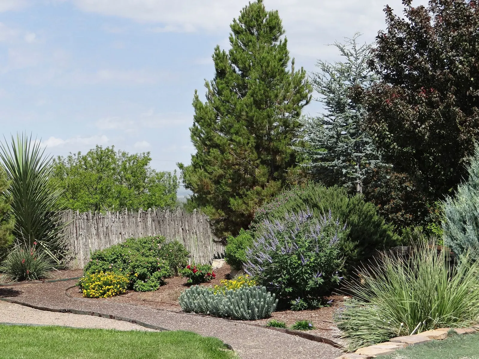 Landscaping in Las Vegas, NV